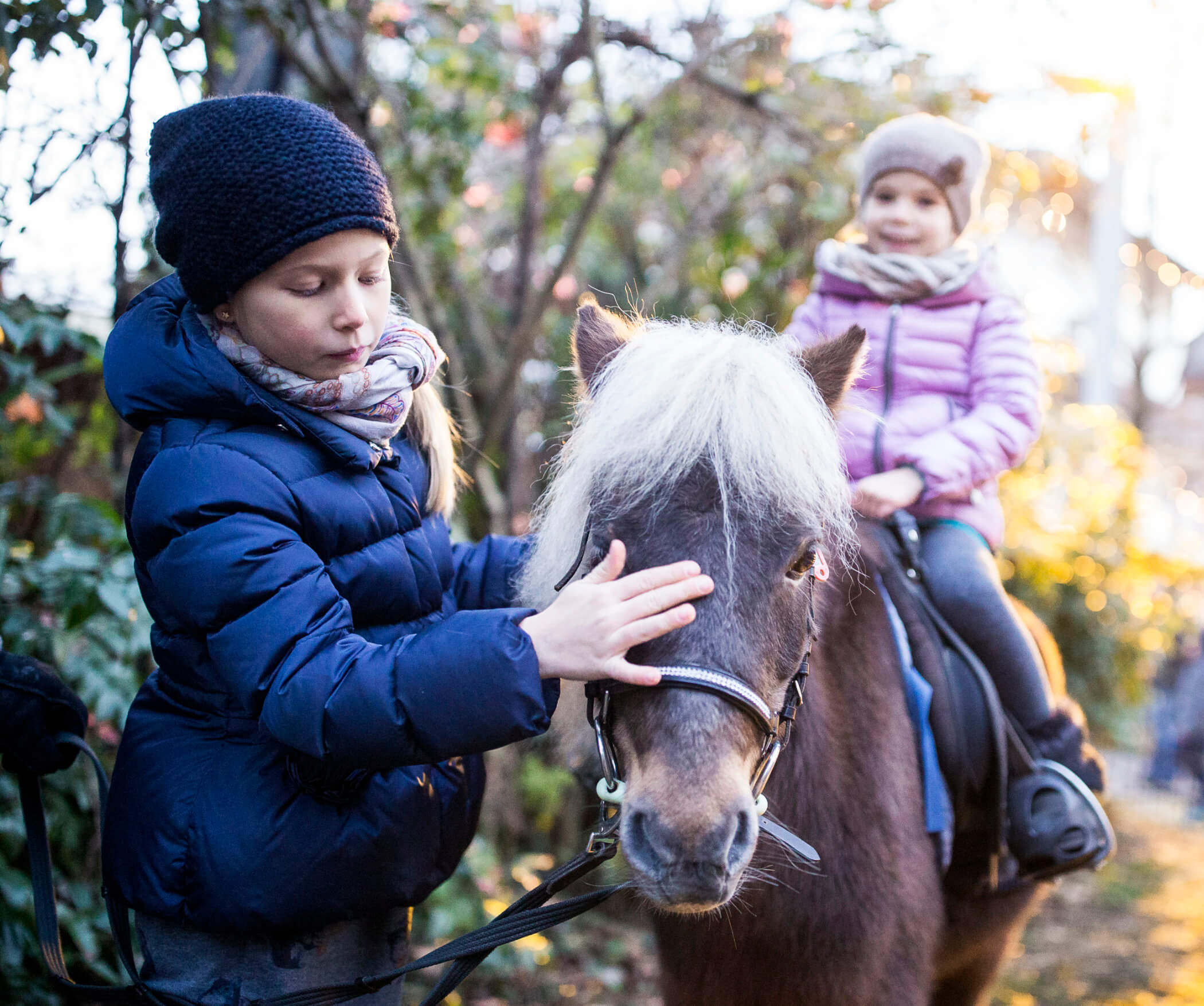 Pony reiten - Weihnachtsmarkt Sterntaler in Lana